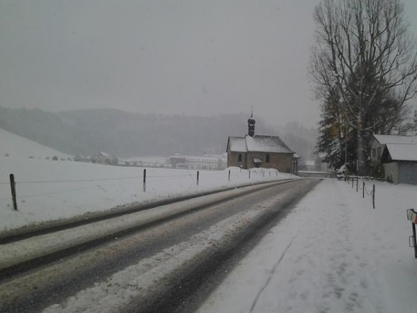 Bild einfügen