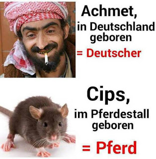 Bild einfügen