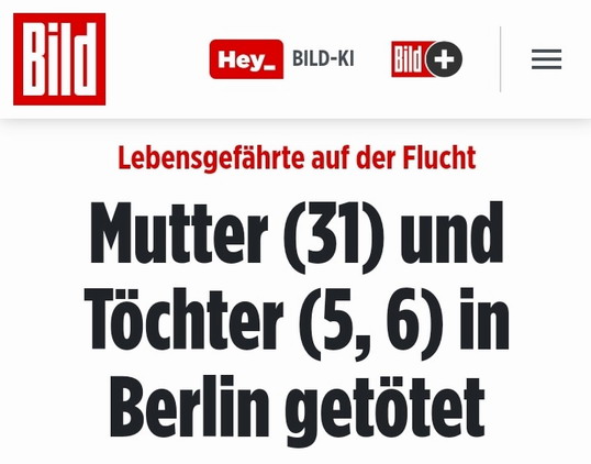 Bild einfügen