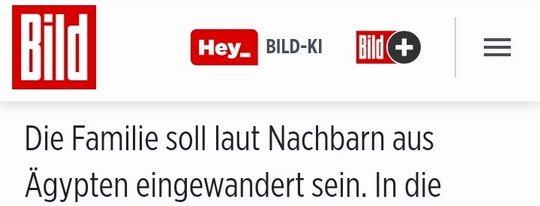 Bild einfügen