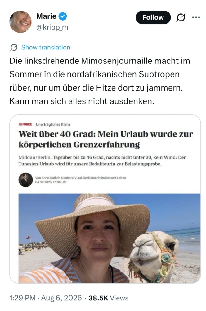 Bild einfügen